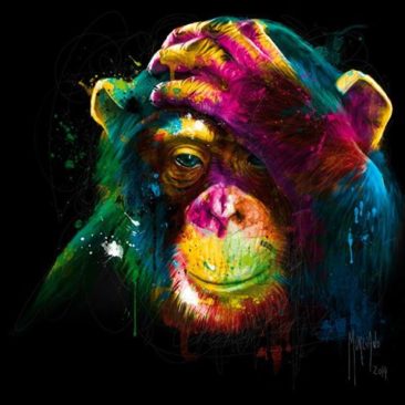 Darwin Preoccupation 80x80 cm