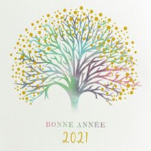 Voeux 2021