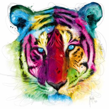 Tiger 80x80 cm 1