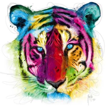 Tiger 80x80 cm